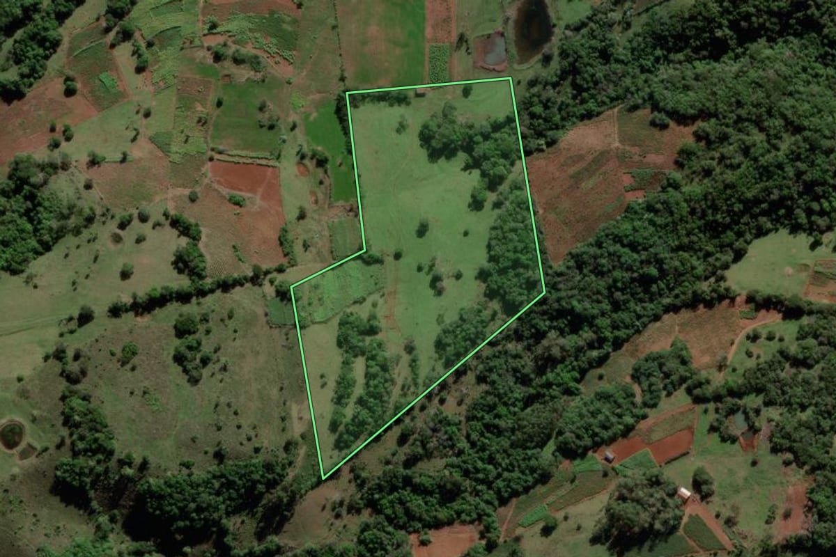 Imagem de satélite do imóvel rural em Mata (RS), com o contorno declarado no CAR desenhado por cima.