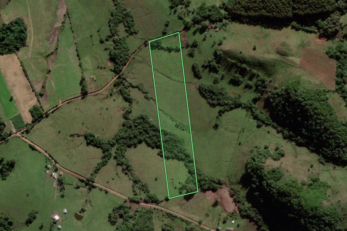 Imagem de satélite do imóvel rural em Mata (RS), com o contorno declarado no CAR desenhado por cima.