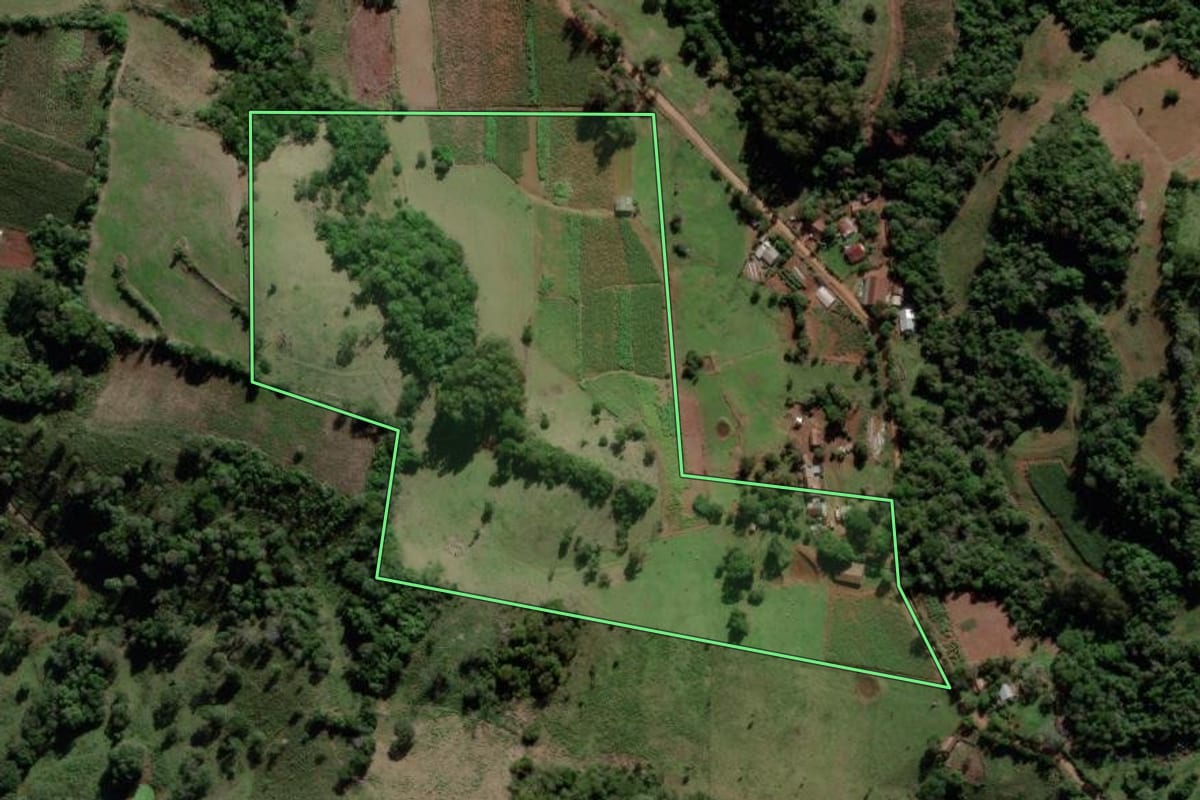 Imagem de satélite do imóvel rural em Mata (RS), com o contorno declarado no CAR desenhado por cima.