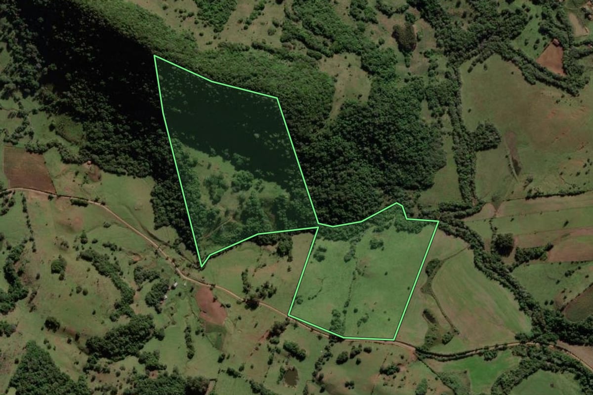 Imagem de satélite do imóvel rural em Mata (RS), com o contorno declarado no CAR desenhado por cima.
