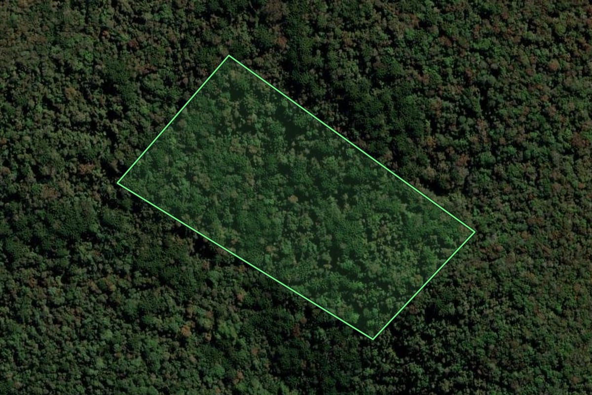 Imagem de satélite do imóvel rural em Mato Castelhano (RS), com o contorno declarado no CAR desenhado por cima.
