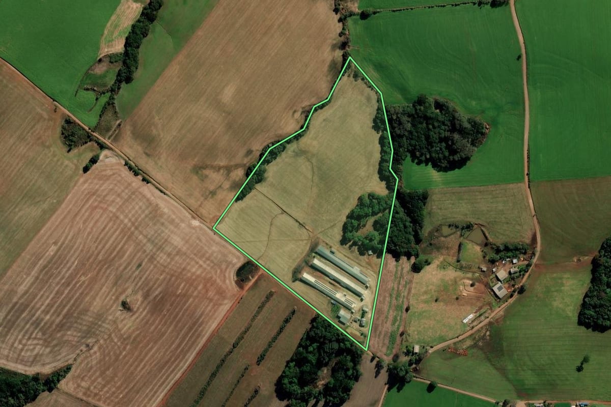 Imagem de satélite do imóvel rural em Mato Castelhano (RS), com o contorno declarado no CAR desenhado por cima.