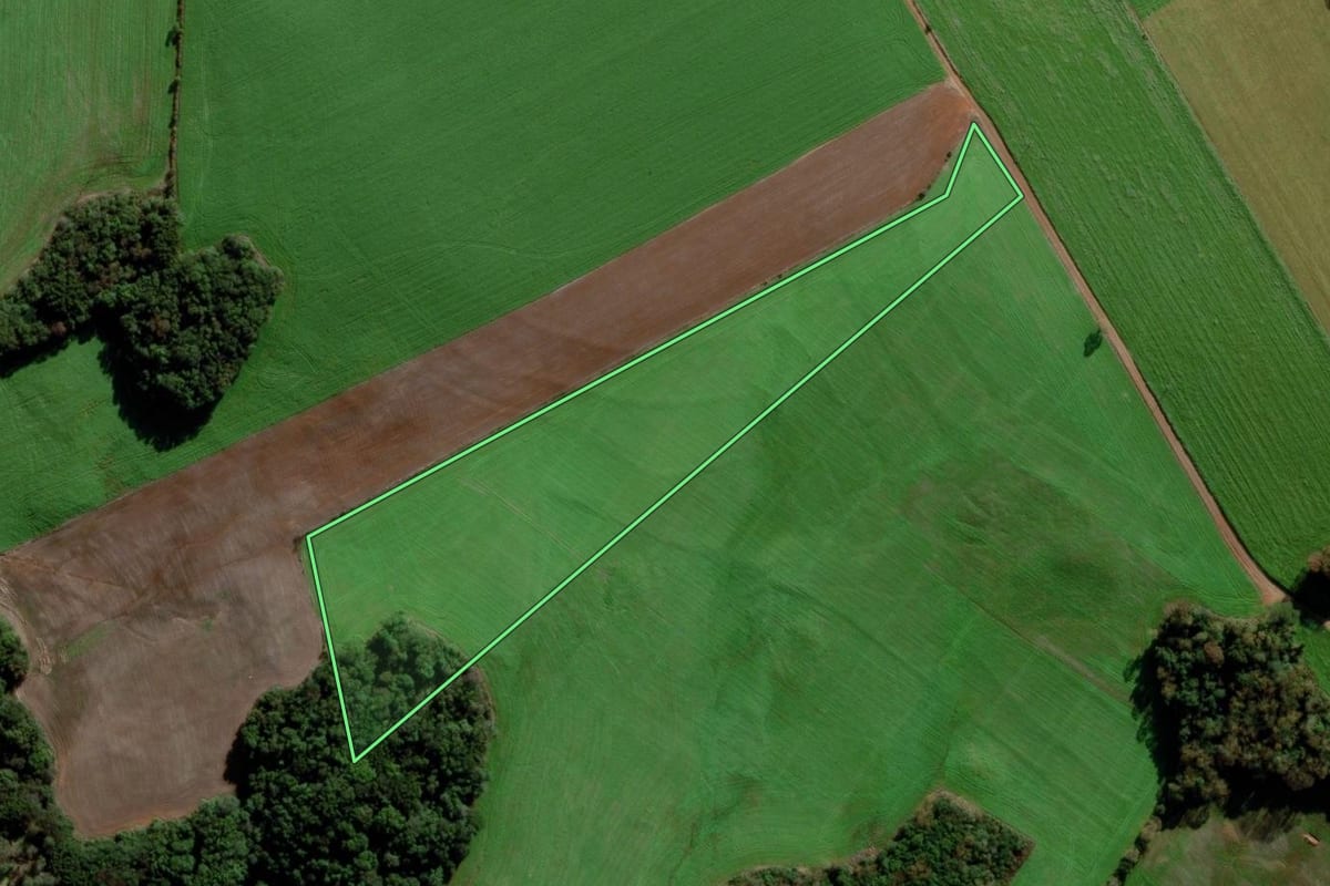 Imagem de satélite do imóvel rural em Mato Castelhano (RS), com o contorno declarado no CAR desenhado por cima.