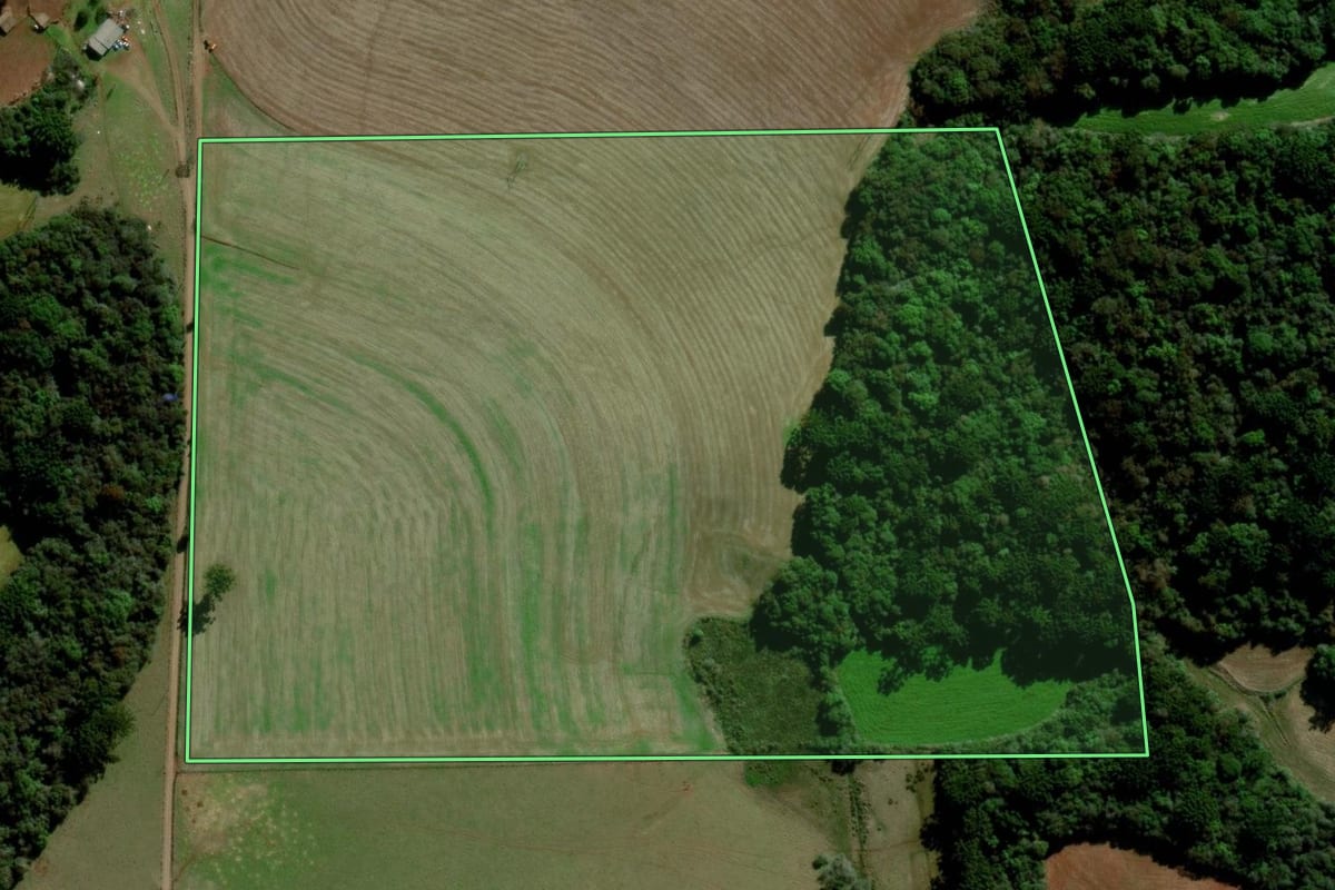 Imagem de satélite do imóvel rural em Mato Castelhano (RS), com o contorno declarado no CAR desenhado por cima.
