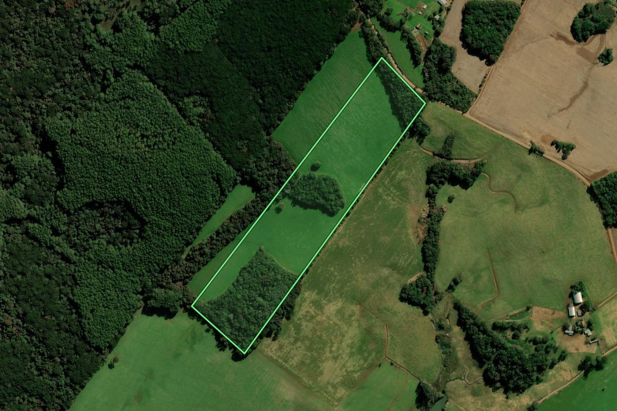 Imagem de satélite do imóvel rural em Mato Castelhano (RS), com o contorno declarado no CAR desenhado por cima.