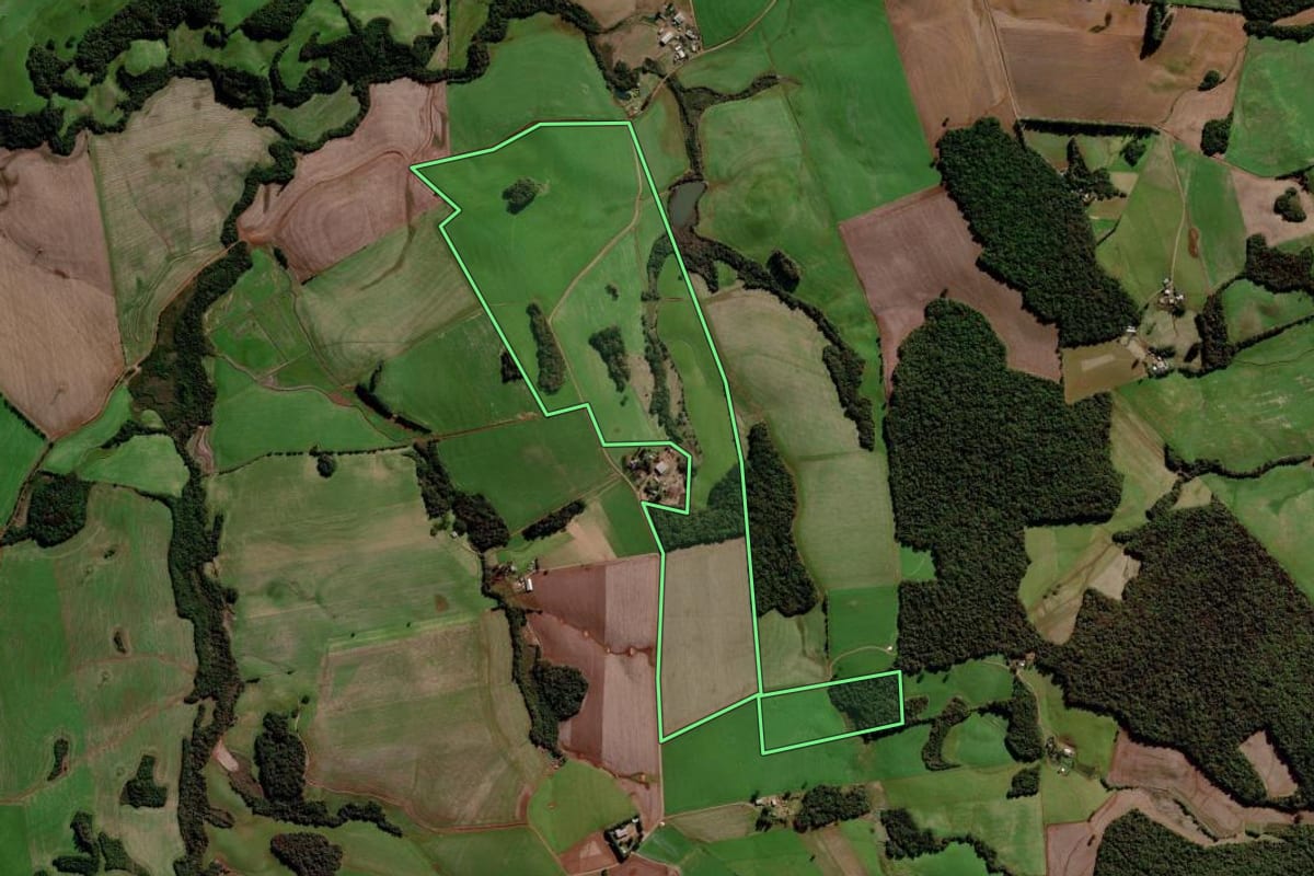 Imagem de satélite do imóvel rural em Mato Castelhano (RS), com o contorno declarado no CAR desenhado por cima.