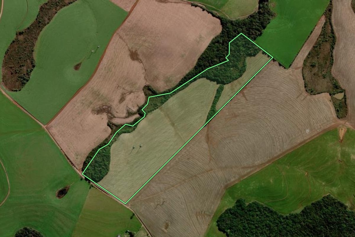 Imagem de satélite do imóvel rural em Mato Castelhano (RS), com o contorno declarado no CAR desenhado por cima.