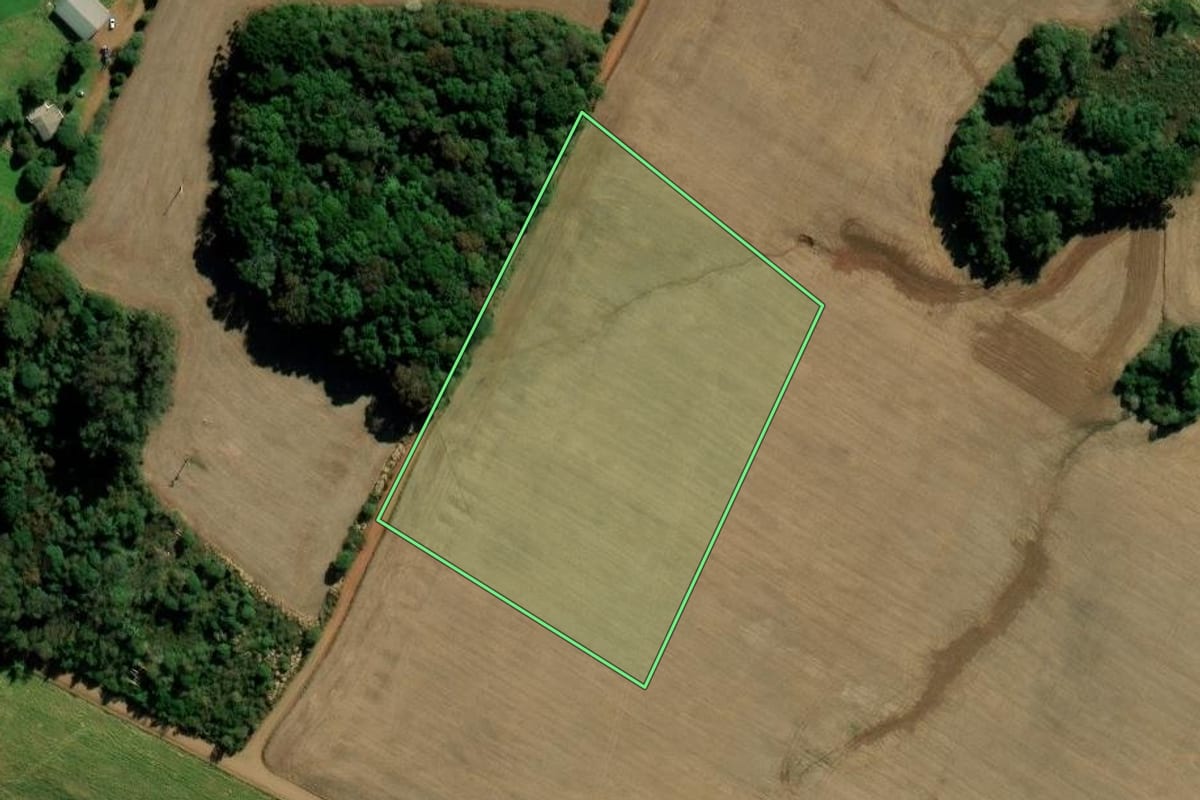 Imagem de satélite do imóvel rural em Mato Castelhano (RS), com o contorno declarado no CAR desenhado por cima.