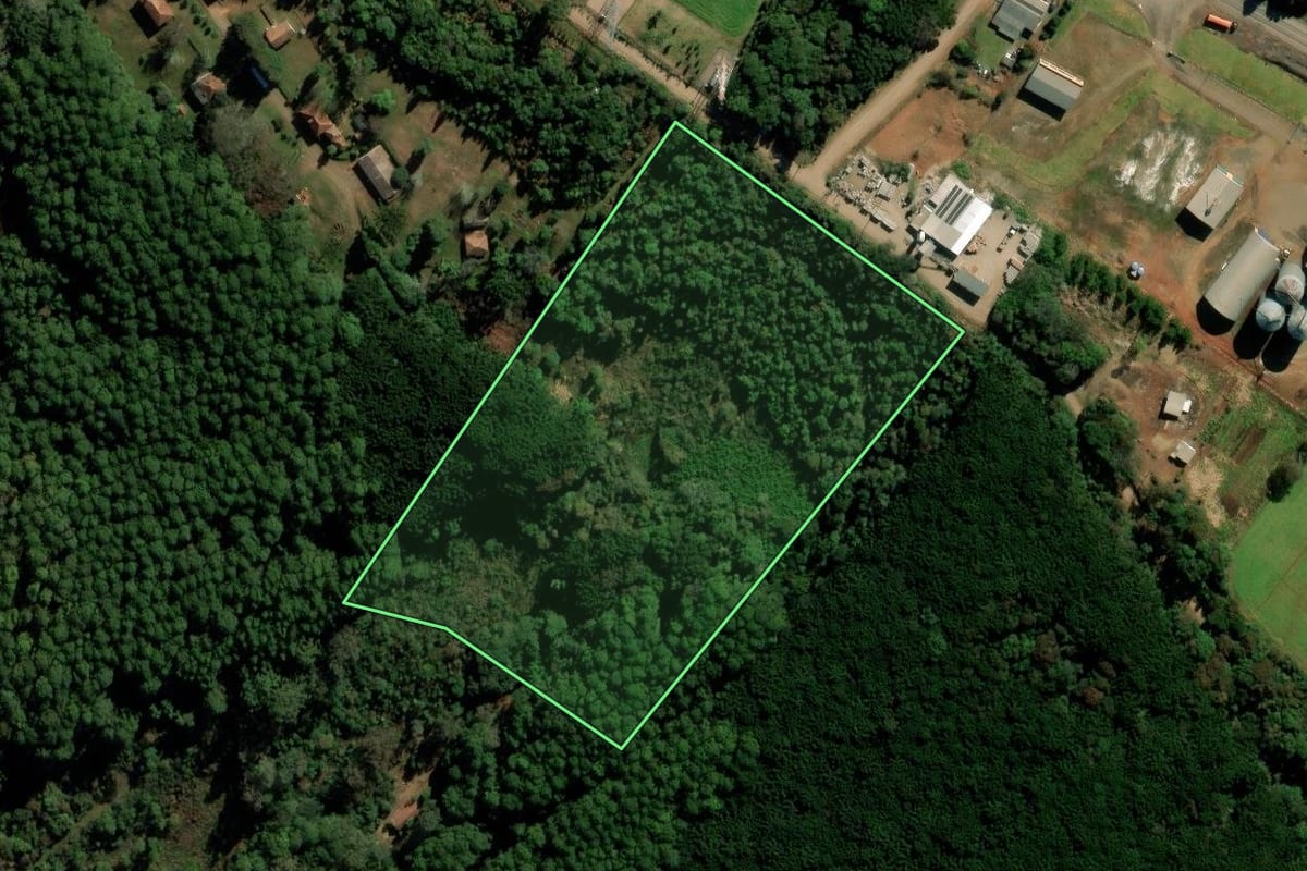 Imagem de satélite do imóvel rural em Mato Castelhano (RS), com o contorno declarado no CAR desenhado por cima.