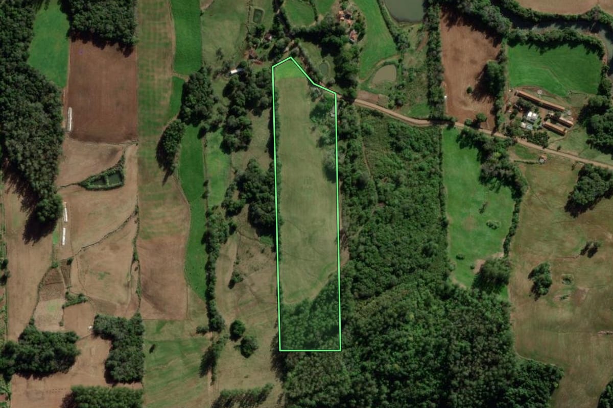 Imagem de satélite do imóvel rural em Mato Leitão (RS), com o contorno declarado no CAR desenhado por cima.