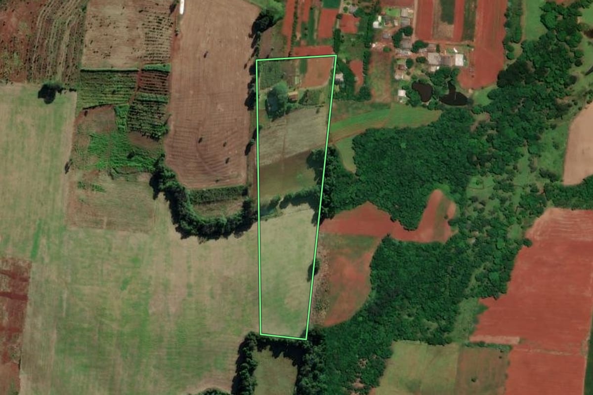 Imagem de satélite do imóvel rural em Mato Leitão (RS), com o contorno declarado no CAR desenhado por cima.