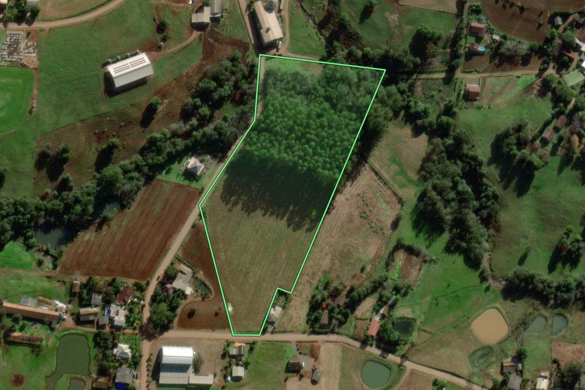 Imagem de satélite do imóvel rural em Mato Leitão (RS), com o contorno declarado no CAR desenhado por cima.