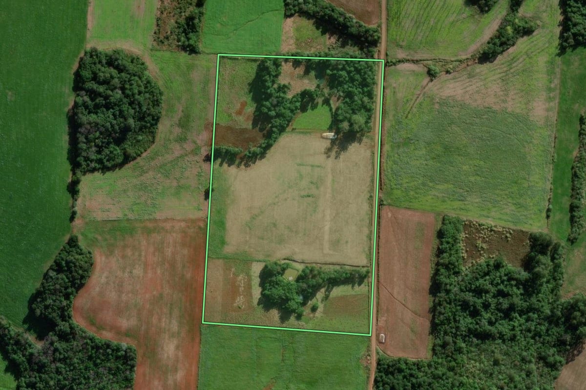 Imagem de satélite do imóvel rural em Mato Leitão (RS), com o contorno declarado no CAR desenhado por cima.
