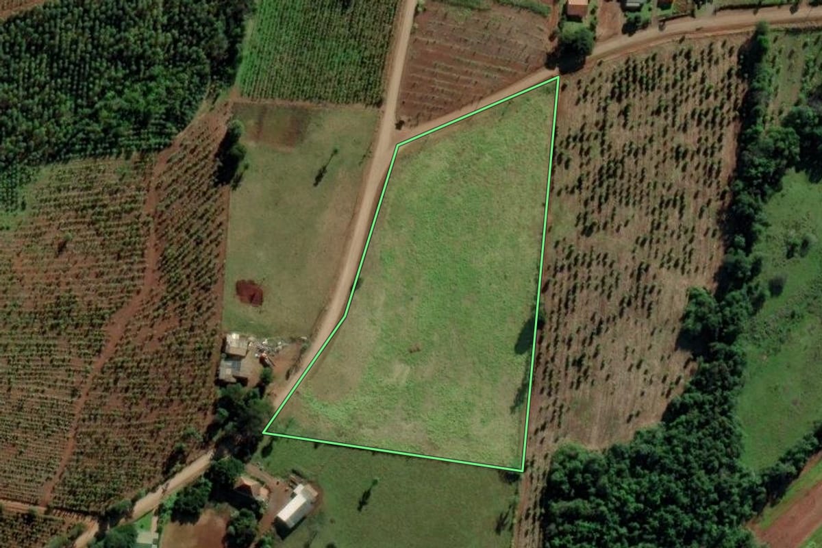 Imagem de satélite do imóvel rural em Mato Leitão (RS), com o contorno declarado no CAR desenhado por cima.