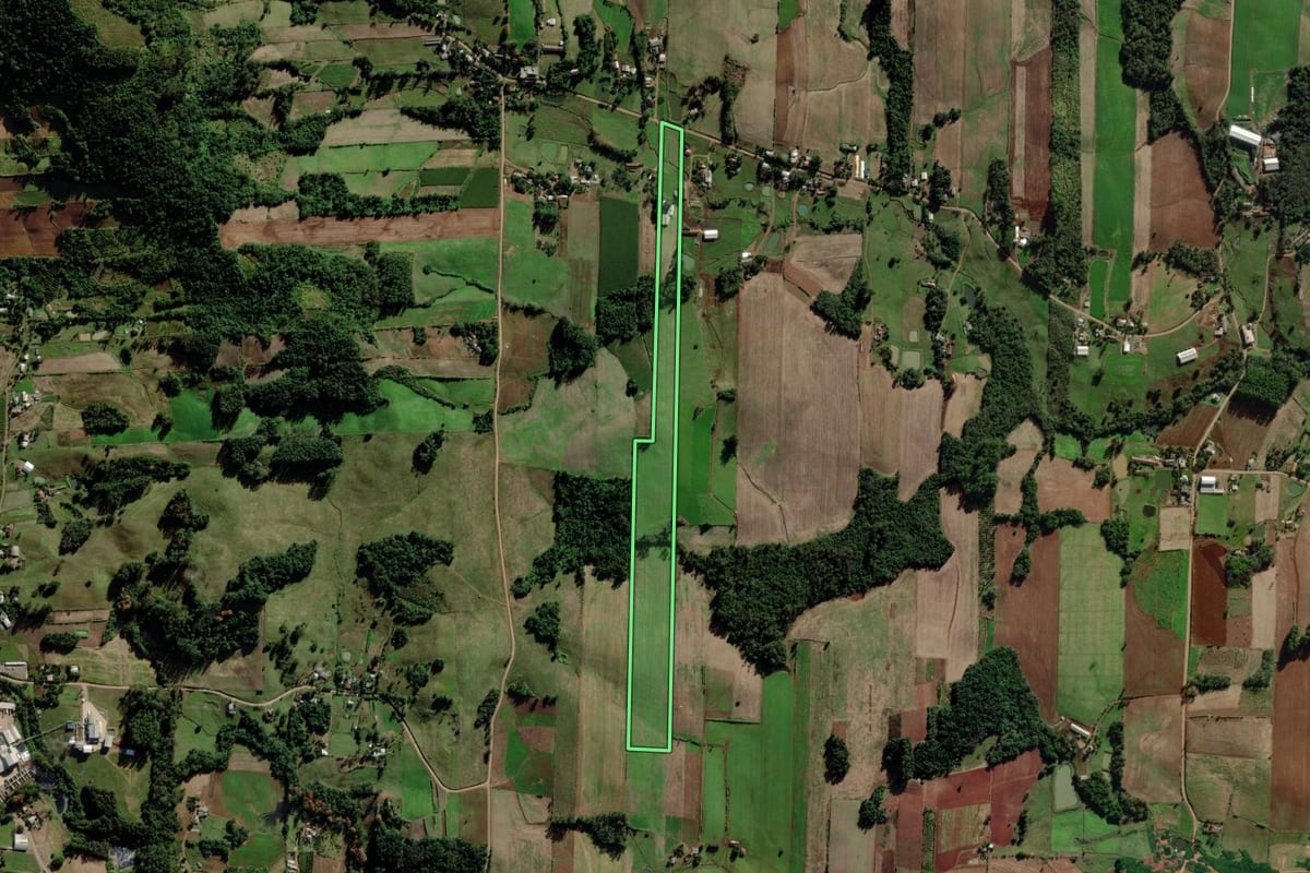 Imagem de satélite do imóvel rural em Mato Leitão (RS), com o contorno declarado no CAR desenhado por cima.