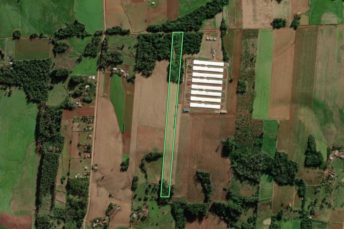 Imagem de satélite do imóvel rural em Mato Leitão (RS), com o contorno declarado no CAR desenhado por cima.