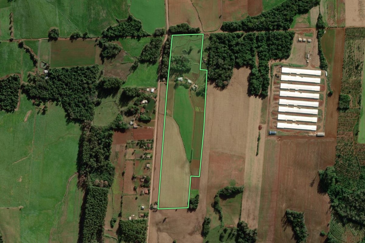 Imagem de satélite do imóvel rural em Mato Leitão (RS), com o contorno declarado no CAR desenhado por cima.