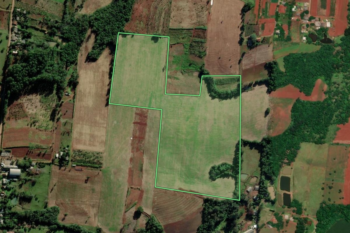 Imagem de satélite do imóvel rural em Mato Leitão (RS), com o contorno declarado no CAR desenhado por cima.