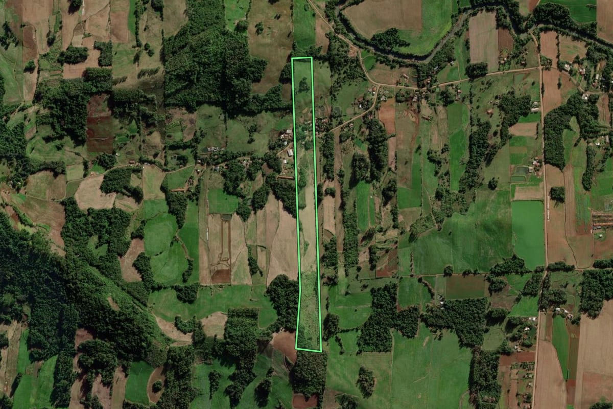 Imagem de satélite do imóvel rural em Mato Leitão (RS), com o contorno declarado no CAR desenhado por cima.