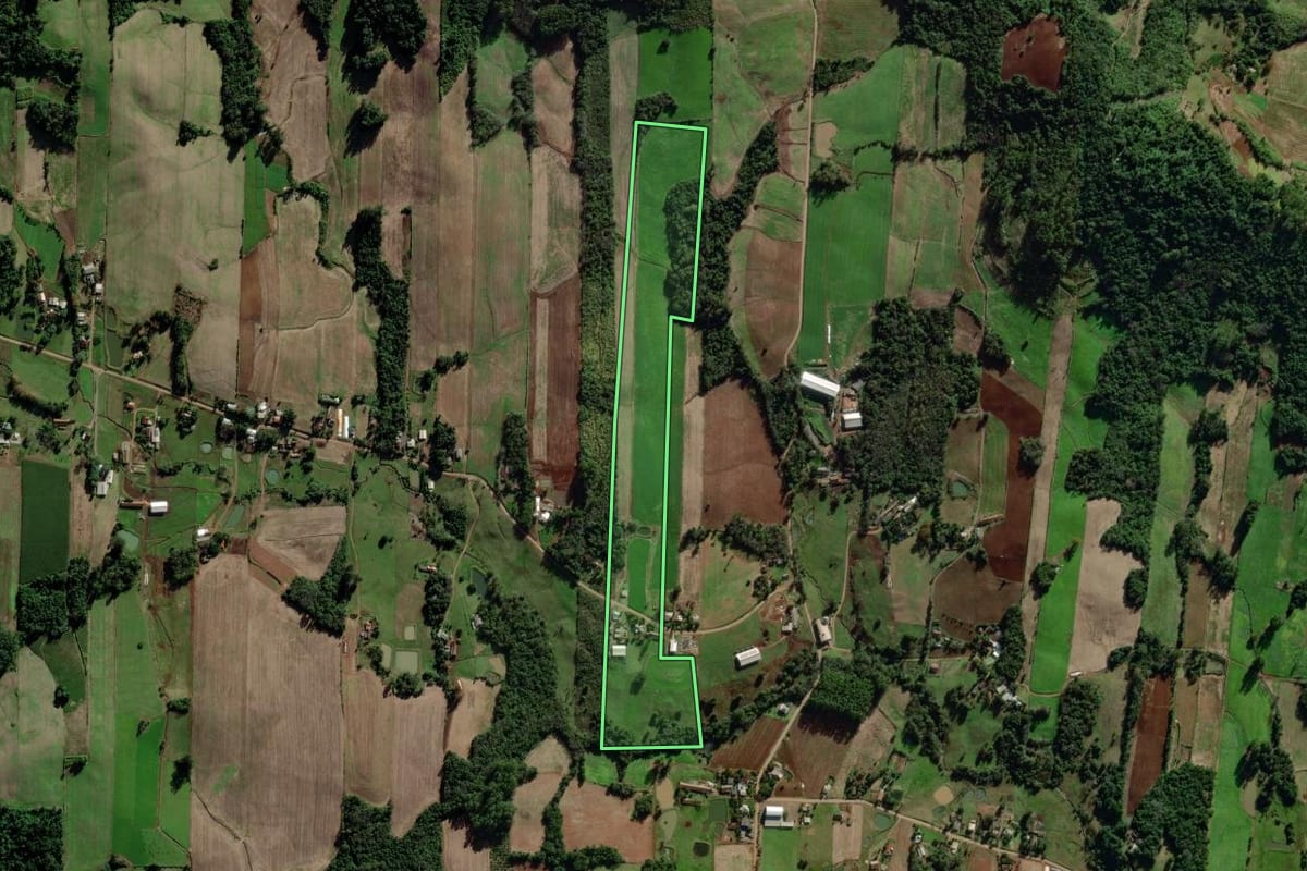 Imagem de satélite do imóvel rural em Mato Leitão (RS), com o contorno declarado no CAR desenhado por cima.