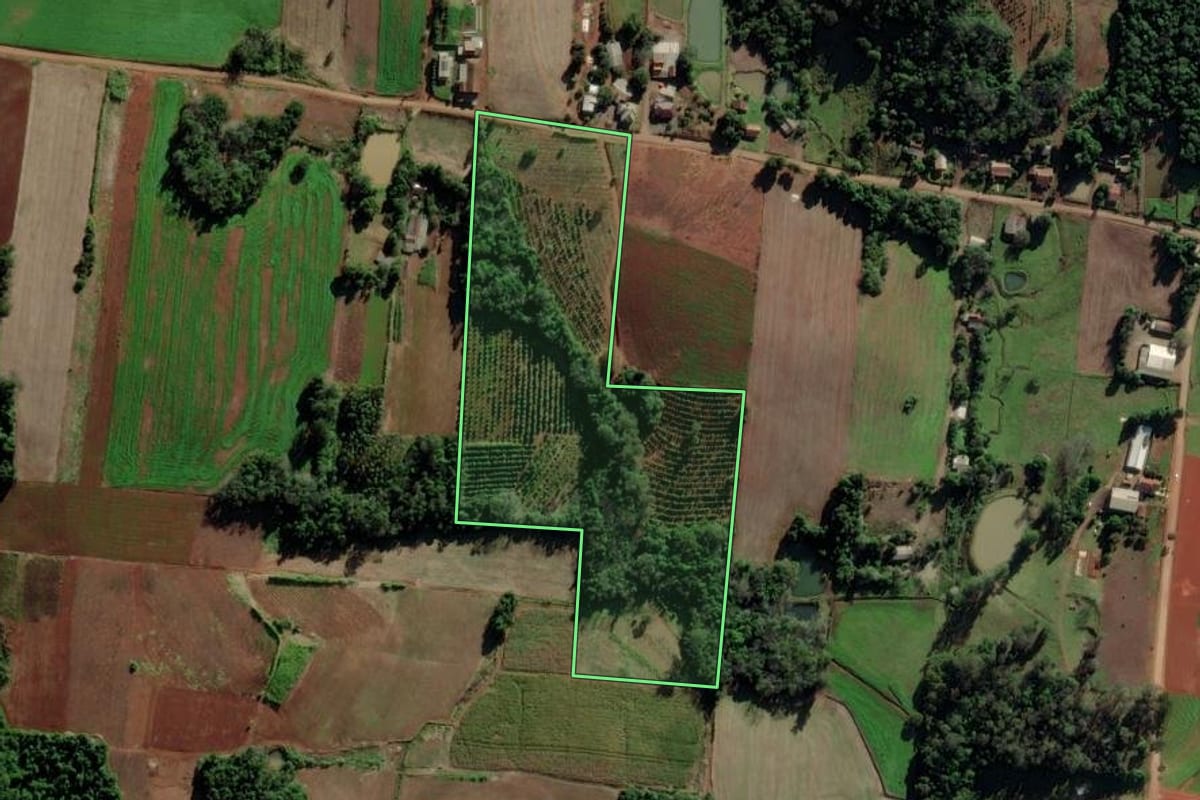 Imagem de satélite do imóvel rural em Mato Leitão (RS), com o contorno declarado no CAR desenhado por cima.