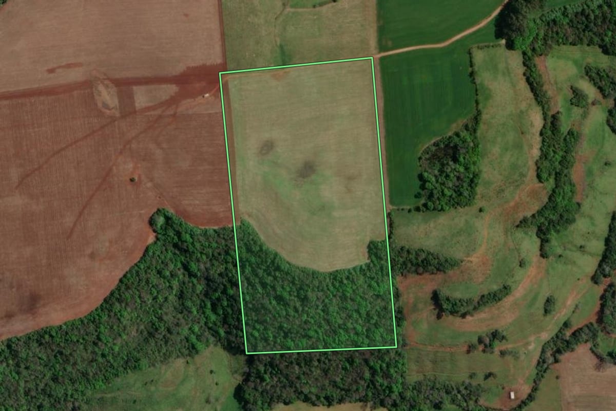Imagem de satélite do imóvel rural em Maximiliano de Almeida (RS), com o contorno declarado no CAR desenhado por cima.
