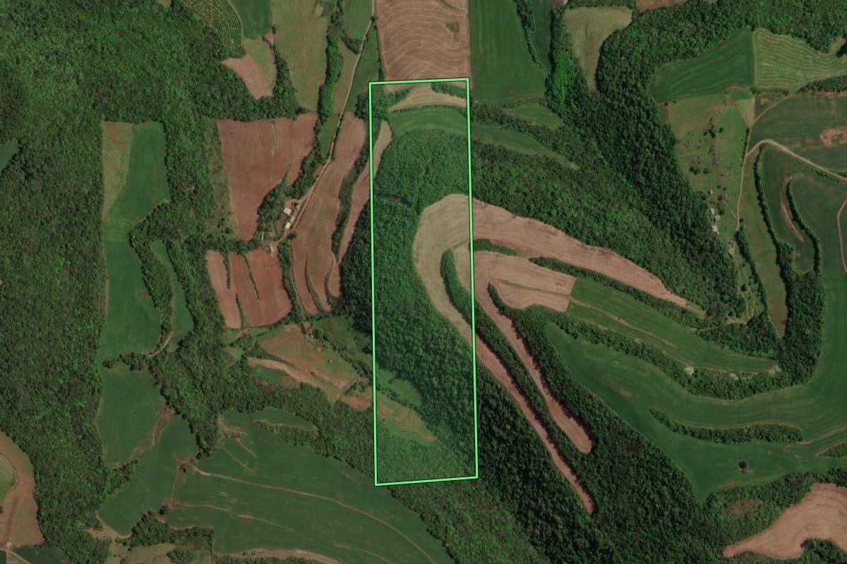 Imagem de satélite do imóvel rural em Maximiliano de Almeida (RS), com o contorno declarado no CAR desenhado por cima.