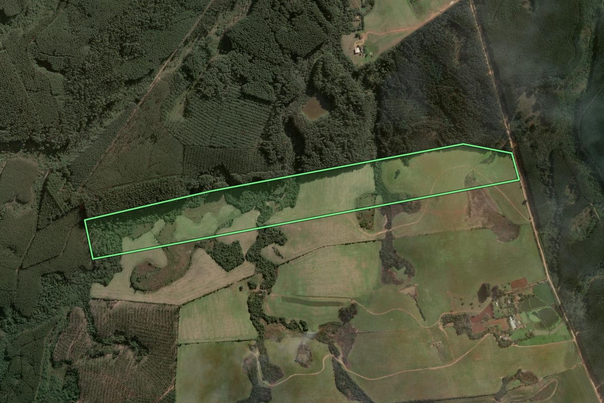 Imagem de satélite do imóvel rural em Minas do Leão (RS), com o contorno declarado no CAR desenhado por cima.