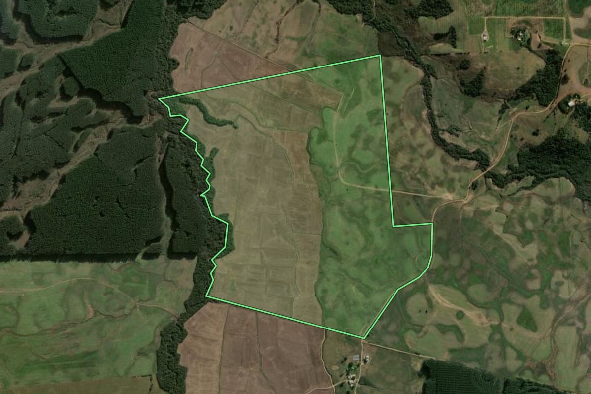 Imagem de satélite do imóvel rural em Minas do Leão (RS), com o contorno declarado no CAR desenhado por cima.