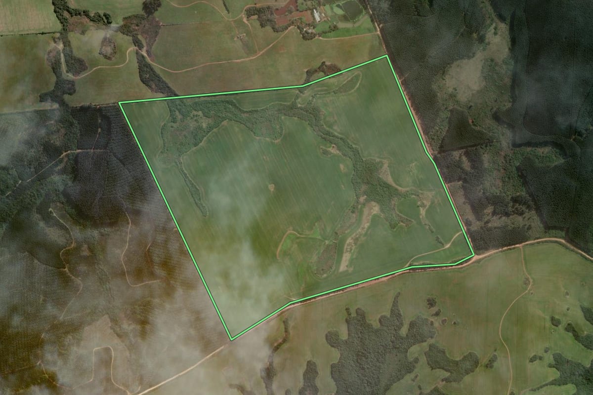 Imagem de satélite do imóvel rural em Minas do Leão (RS), com o contorno declarado no CAR desenhado por cima.