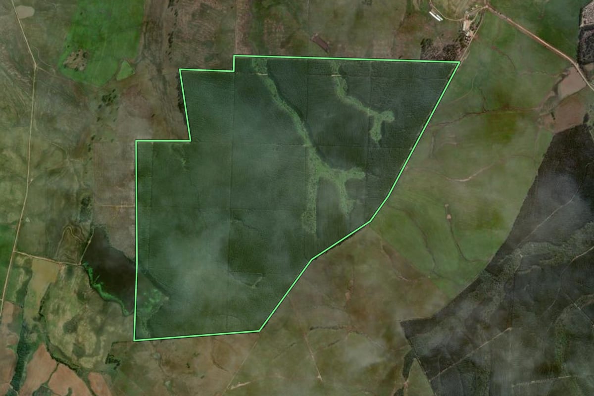 Imagem de satélite do imóvel rural em Minas do Leão (RS), com o contorno declarado no CAR desenhado por cima.