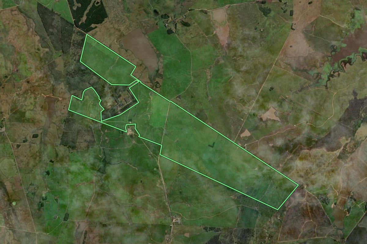Imagem de satélite do imóvel rural em Minas do Leão (RS), com o contorno declarado no CAR desenhado por cima.