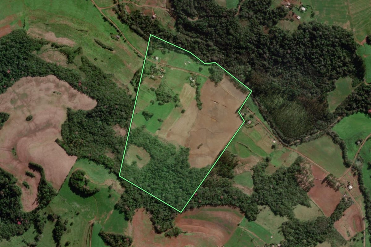 Imagem de satélite do imóvel rural em Miraguaí (RS), com o contorno declarado no CAR desenhado por cima.