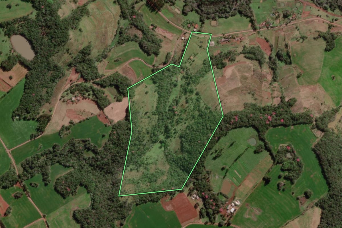 Imagem de satélite do imóvel rural em Miraguaí (RS), com o contorno declarado no CAR desenhado por cima.