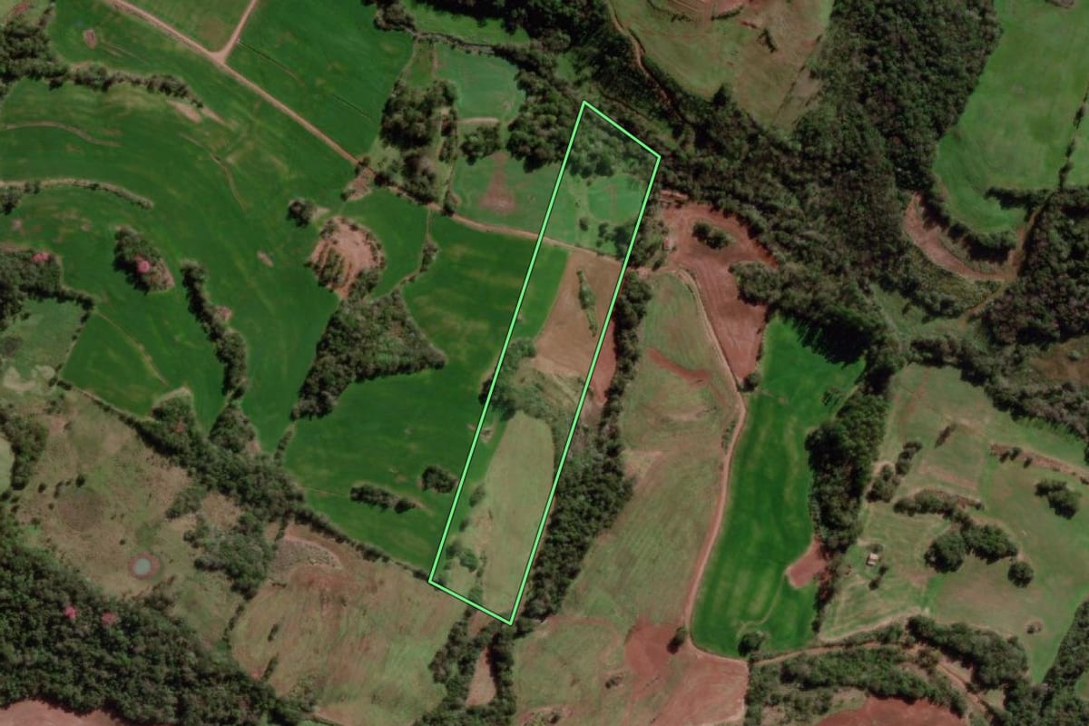 Imagem de satélite do imóvel rural em Miraguaí (RS), com o contorno declarado no CAR desenhado por cima.