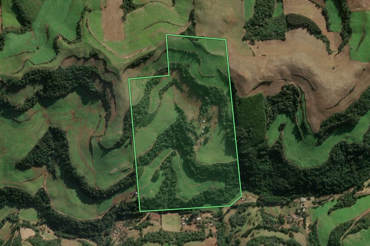 Imagem de satélite do imóvel rural em Montauri (RS), com o contorno declarado no CAR desenhado por cima.