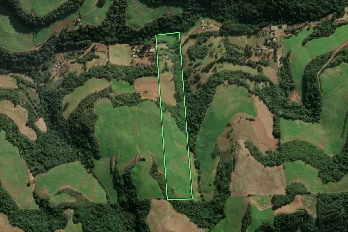 Imagem de satélite do imóvel rural em Montauri (RS), com o contorno declarado no CAR desenhado por cima.