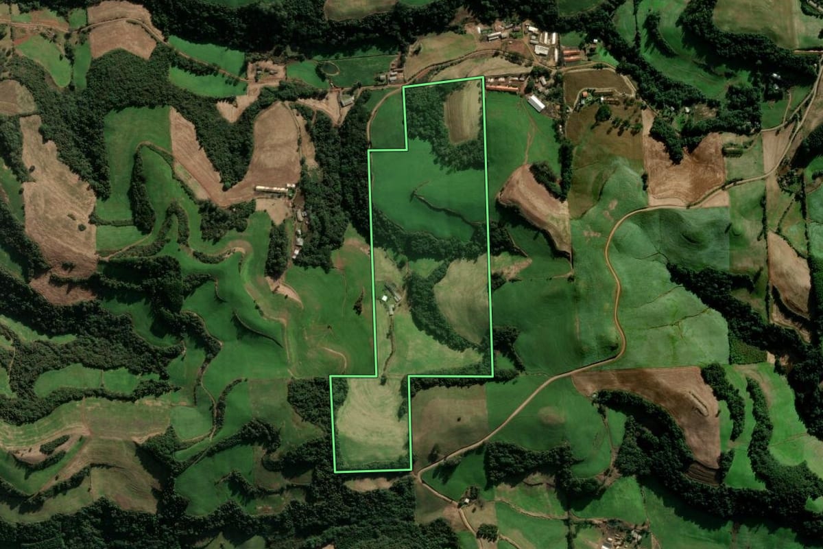 Imagem de satélite do imóvel rural em Montauri (RS), com o contorno declarado no CAR desenhado por cima.
