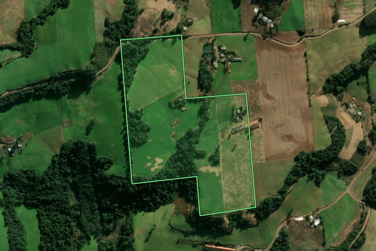 Imagem de satélite do imóvel rural em Montauri (RS), com o contorno declarado no CAR desenhado por cima.