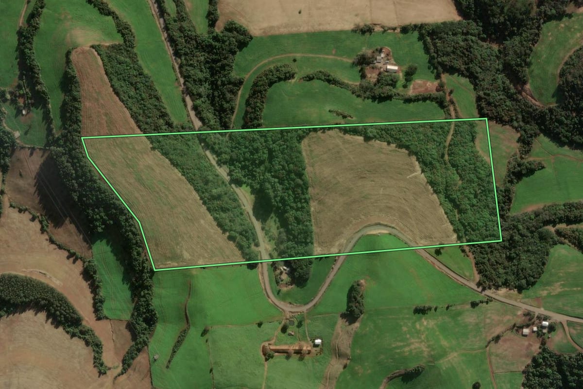 Imagem de satélite do imóvel rural em Montauri (RS), com o contorno declarado no CAR desenhado por cima.