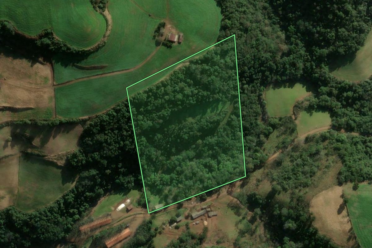 Imagem de satélite do imóvel rural em Montauri (RS), com o contorno declarado no CAR desenhado por cima.