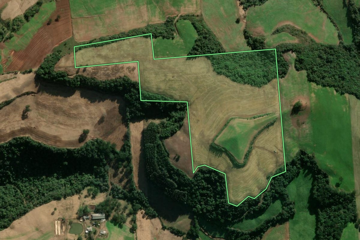 Imagem de satélite do imóvel rural em Montauri (RS), com o contorno declarado no CAR desenhado por cima.