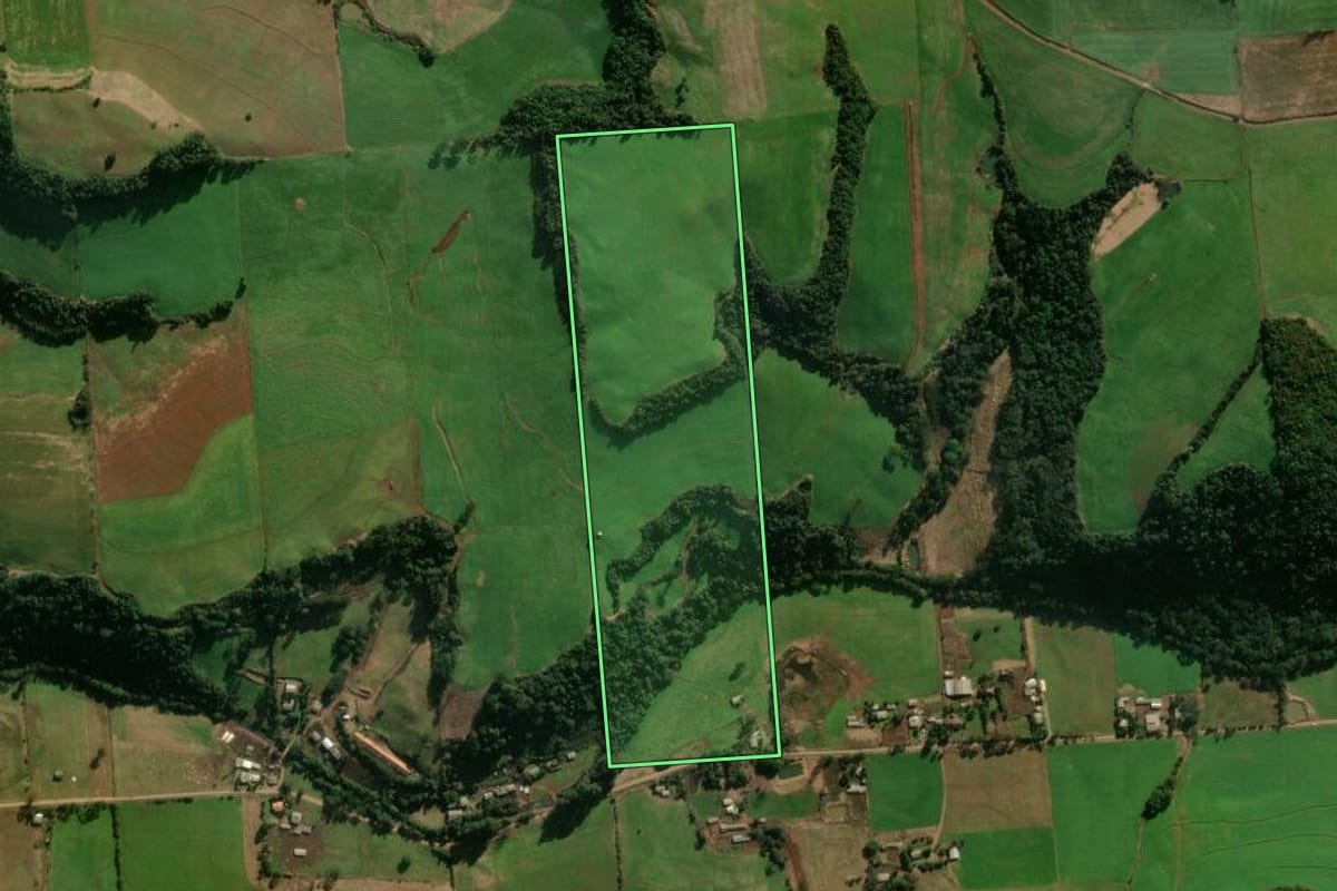 Imagem de satélite do imóvel rural em Montauri (RS), com o contorno declarado no CAR desenhado por cima.