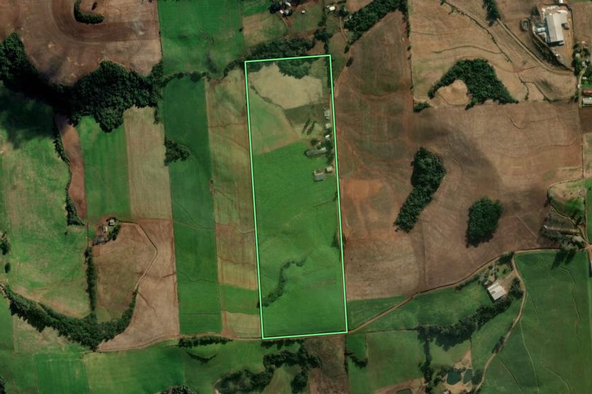 Imagem de satélite do imóvel rural em Montauri (RS), com o contorno declarado no CAR desenhado por cima.