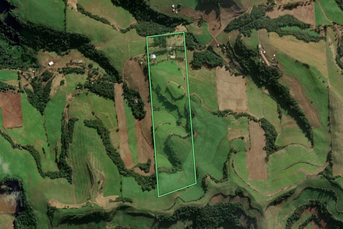 Imagem de satélite do imóvel rural em Montauri (RS), com o contorno declarado no CAR desenhado por cima.