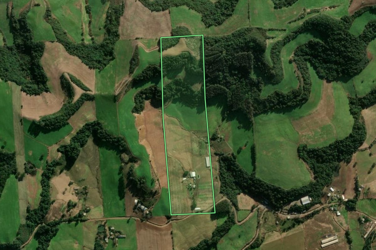 Imagem de satélite do imóvel rural em Montauri (RS), com o contorno declarado no CAR desenhado por cima.
