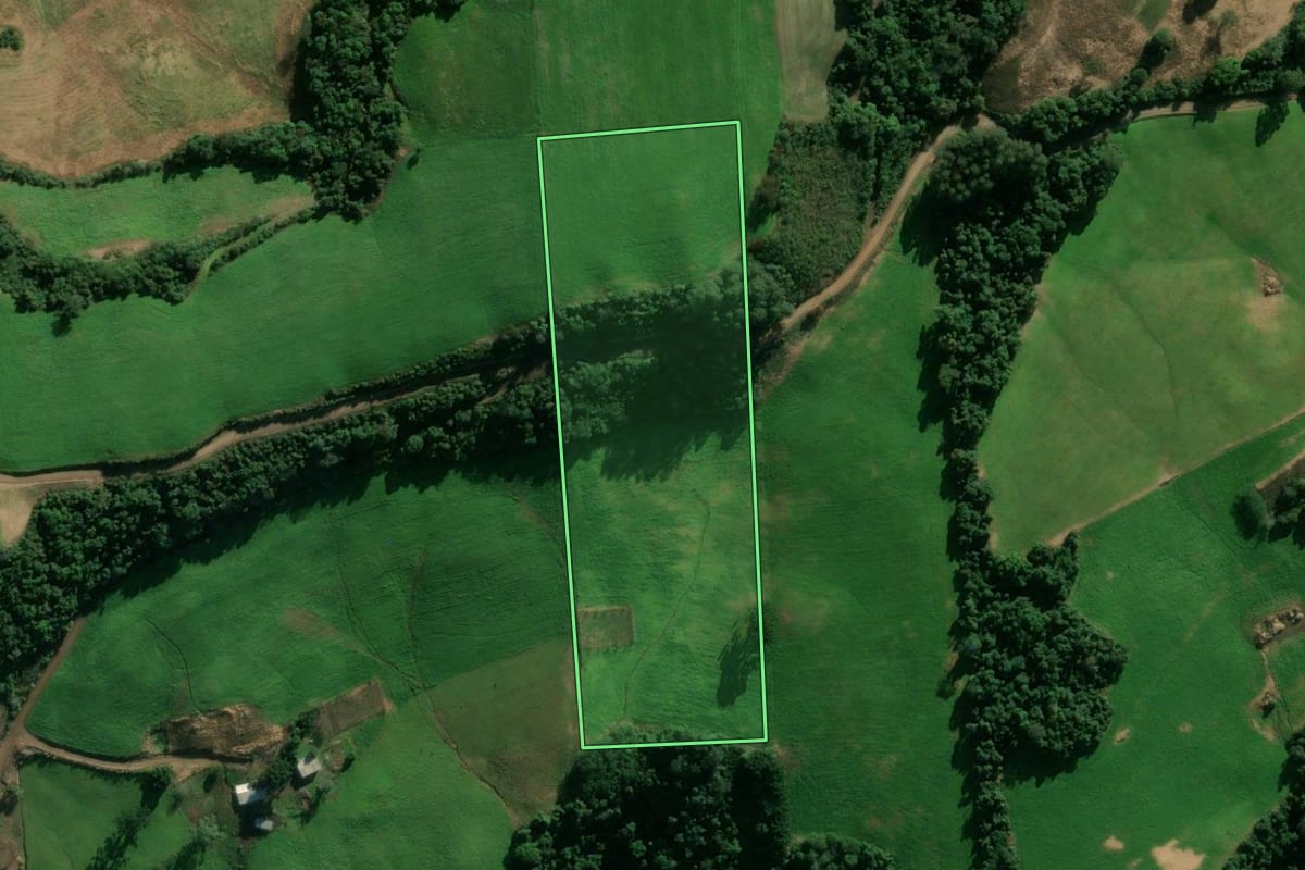 Imagem de satélite do imóvel rural em Montauri (RS), com o contorno declarado no CAR desenhado por cima.