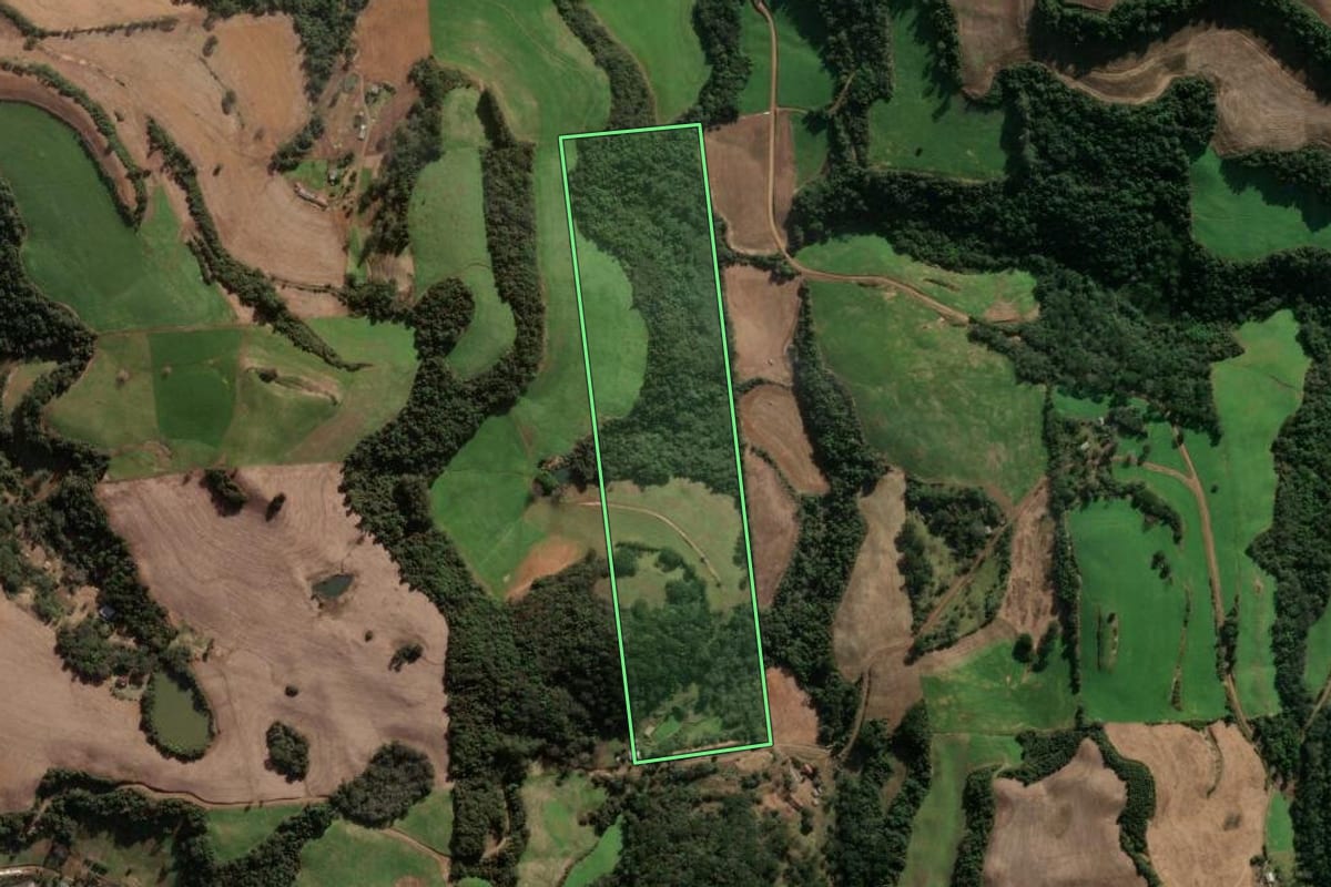 Imagem de satélite do imóvel rural em Montauri (RS), com o contorno declarado no CAR desenhado por cima.