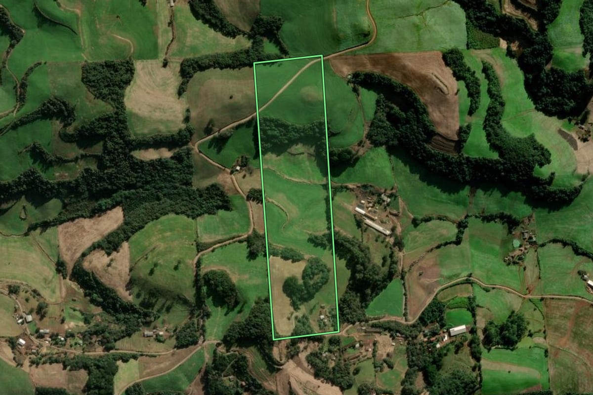 Imagem de satélite do imóvel rural em Montauri (RS), com o contorno declarado no CAR desenhado por cima.