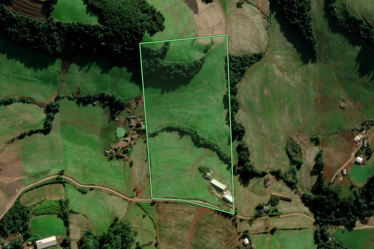 Imagem de satélite do imóvel rural em Montauri (RS), com o contorno declarado no CAR desenhado por cima.